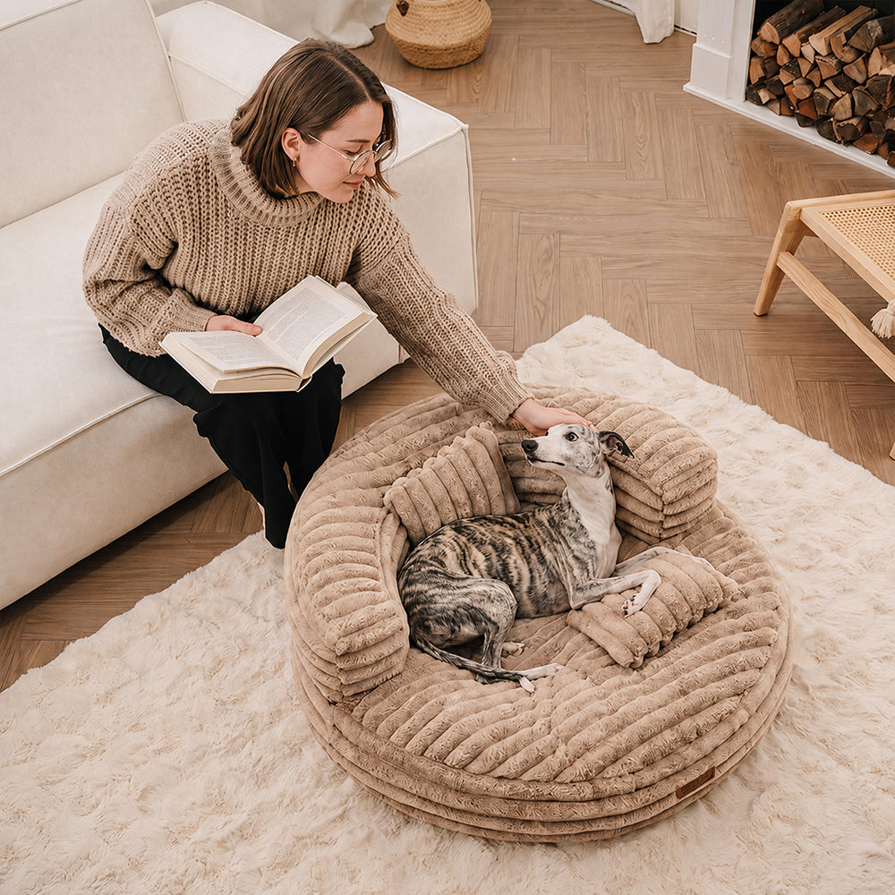 Ultra-Soft Orthopedic Donut Dog Bed with Removable Pillows