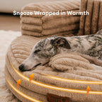 Ultra-Soft Orthopedic Donut Dog Bed with Removable Pillows