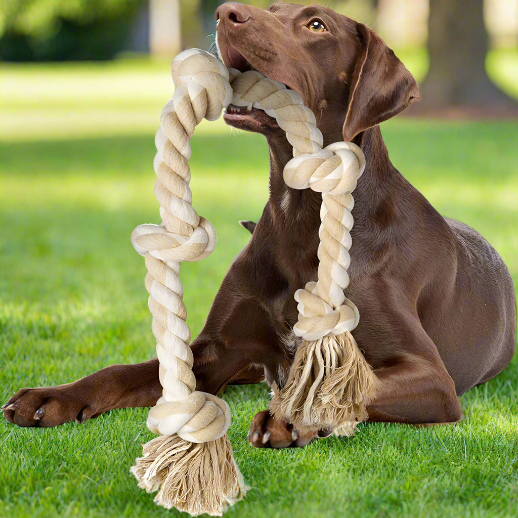 5-Knot Cotton Rope Tug Toy for Dogs