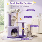 Moonlight Cottage Cat Tree - Features Overview