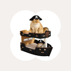 Pirate Ship Cat Bed - Cat Inside