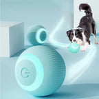 Interactive Dog Soccer Ball front