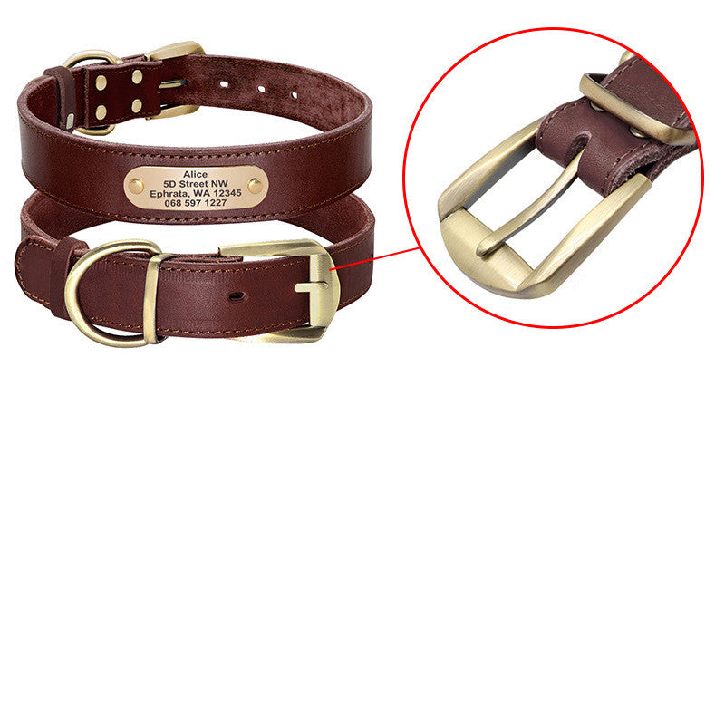 Personalized Dog Collar with Custom Engraved Nameplate