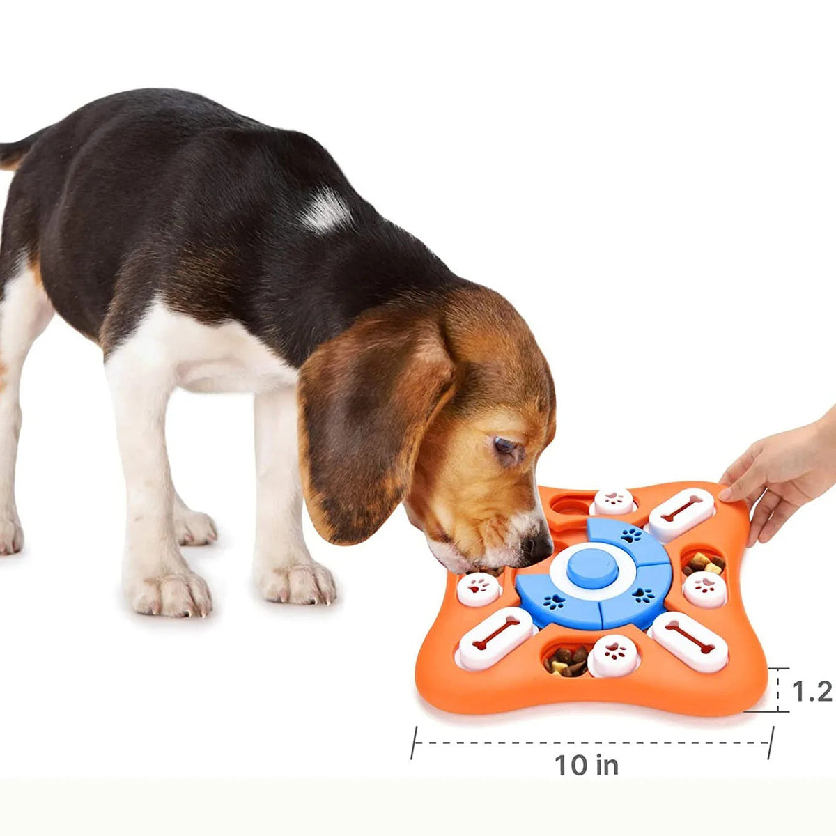 Interactive Puzzle Feeder Bowl - Side View