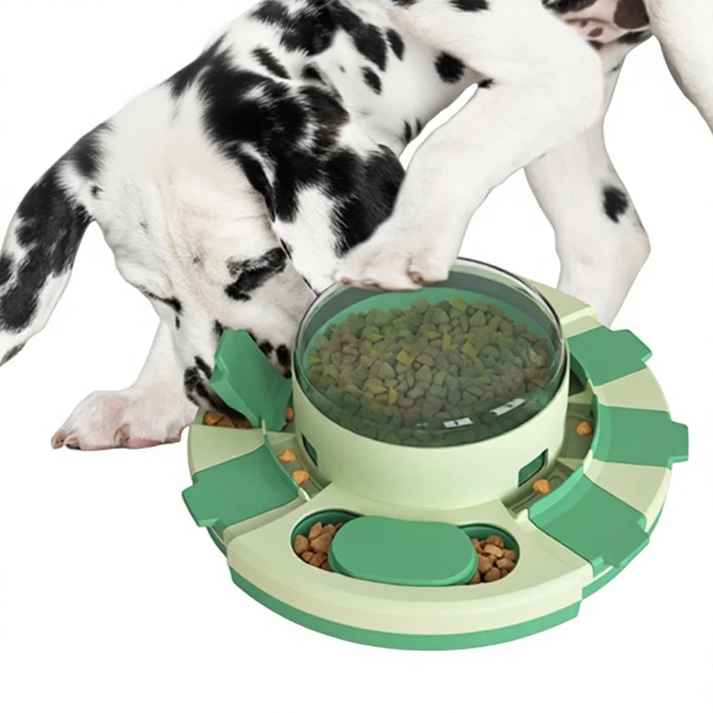 Slow Feeder Bowl Features and Dimensions