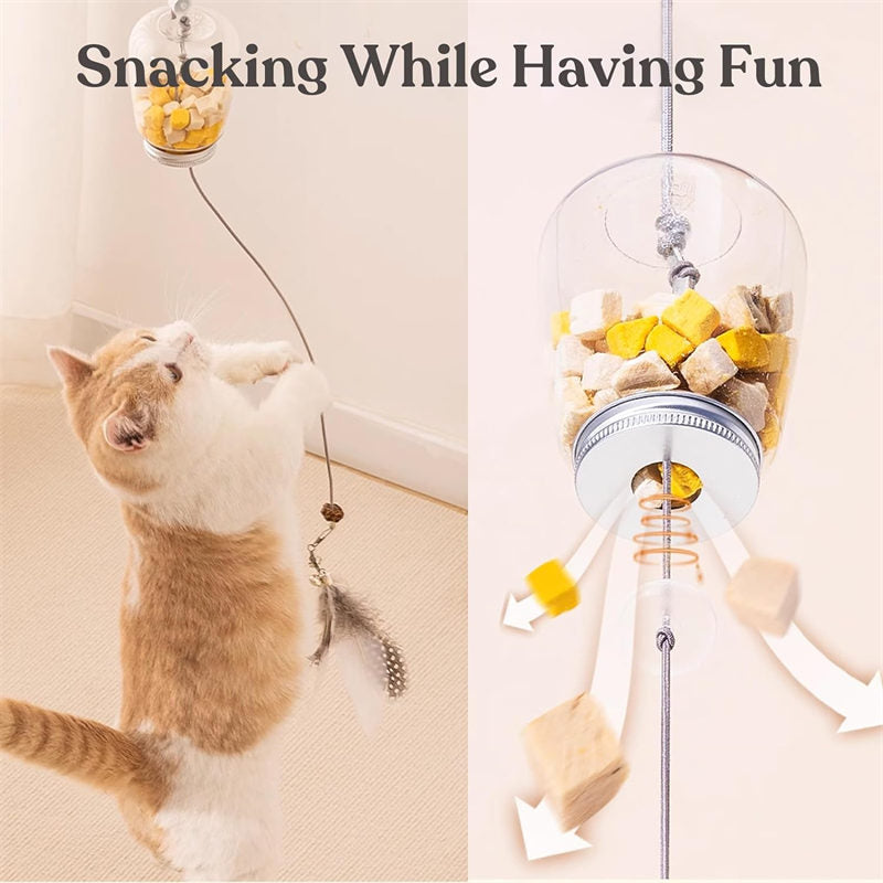 Interactive Cat Toy Door Mount Treat