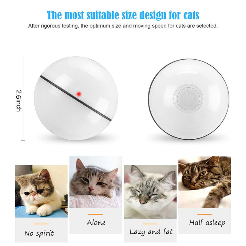 Pet Ball size comparison