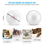 Pet Ball size comparison