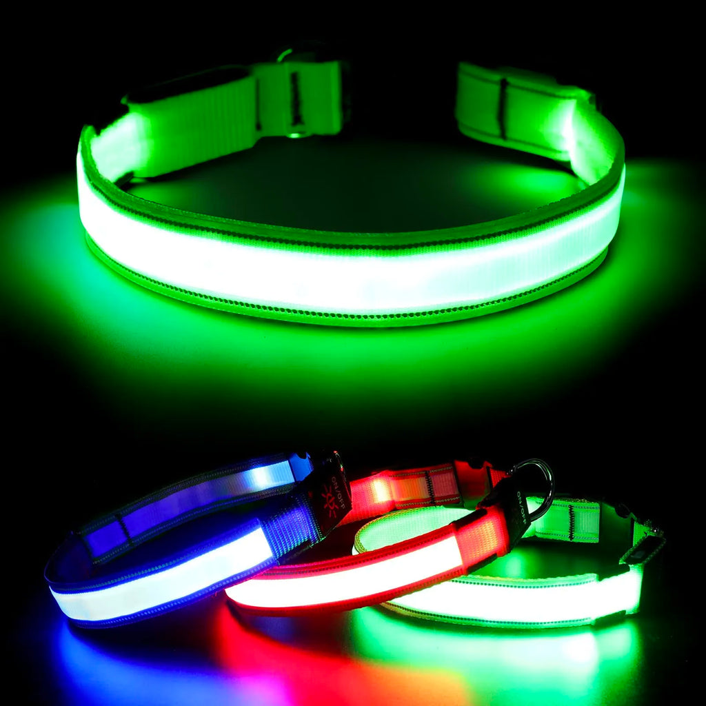 Rechargeable LED Pet Collar glowing