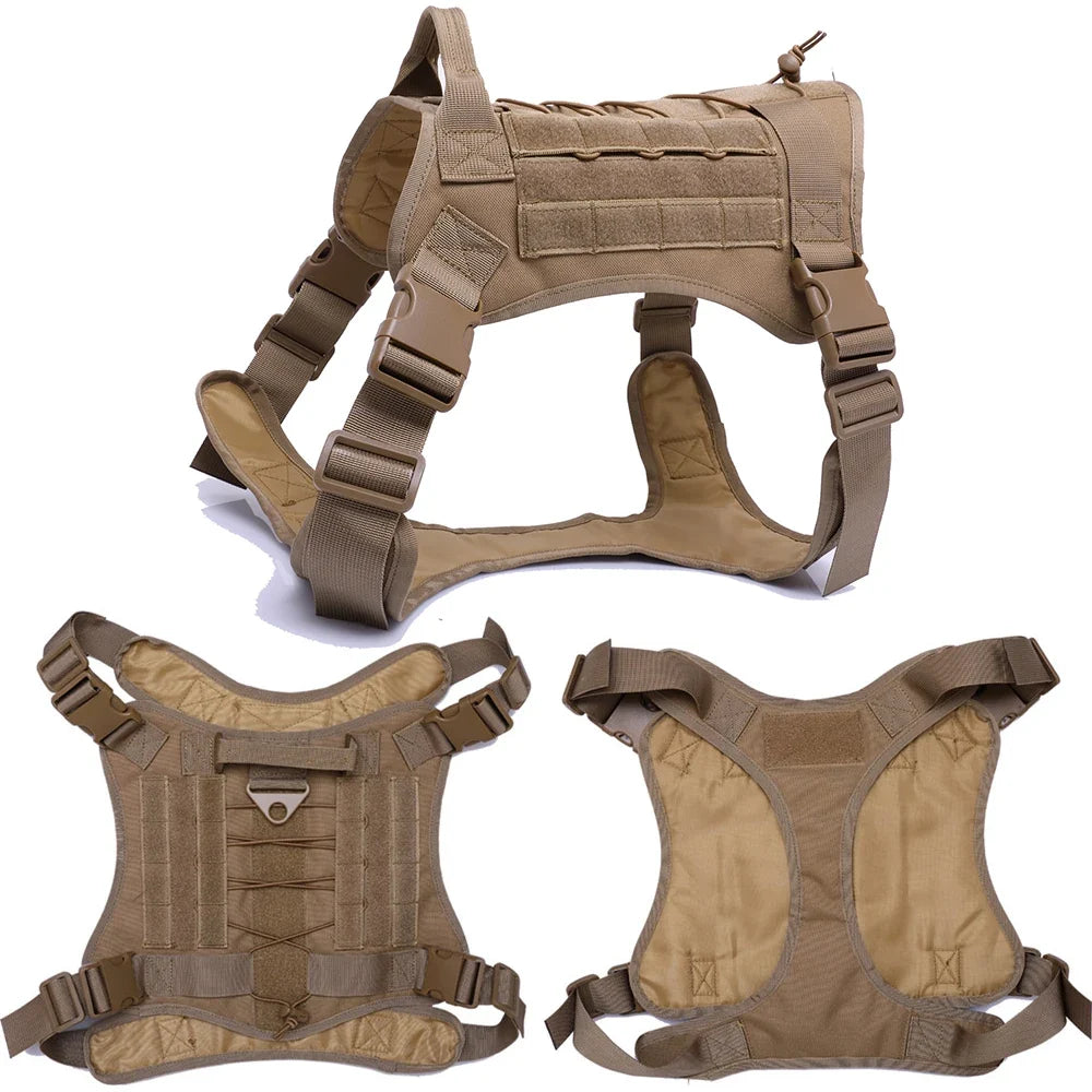 Tactical Dog Harness on Dog