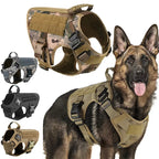 Tactical Dog Harness Front View