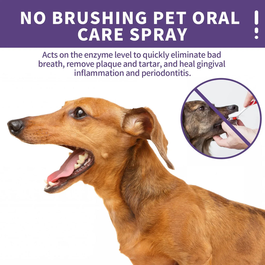 Dog Teeth Cleaning Spray Ingredients