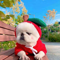 Dog Hoodie Fruit Design for Small Dogs and Cats