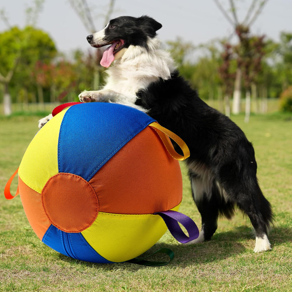 Calming Jumbo Ball for High-Energy Dogs