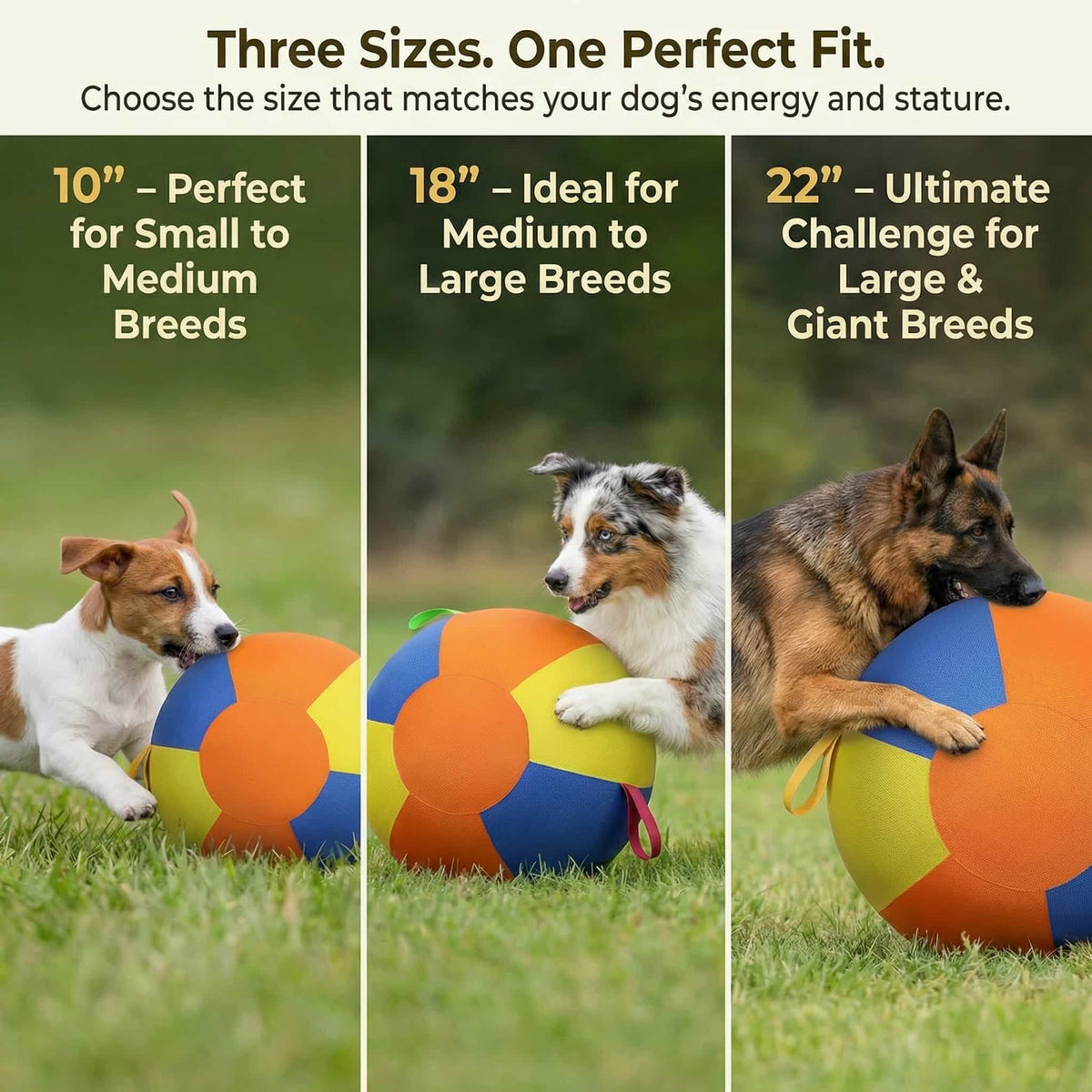 Calming Jumbo Ball for High-Energy Dogs