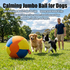 Calming Jumbo Ball for High-Energy Dogs