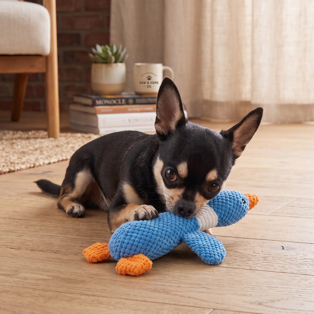 Plush Goose Squeaky Dog Toy
