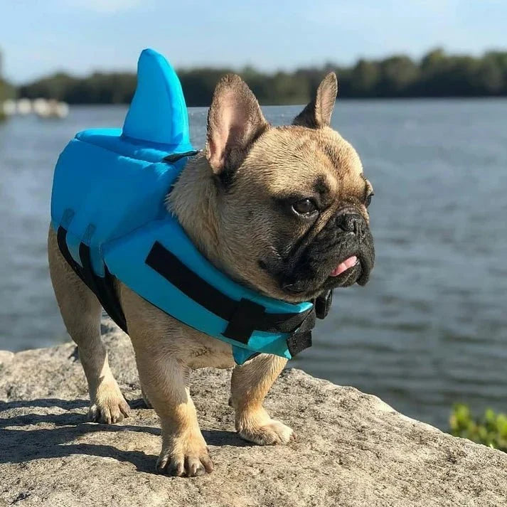 Dog Life Vest Shark Side View