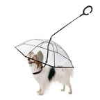 Dog Umbrella Leash Attachment - Keep your dog dry during rainy walks