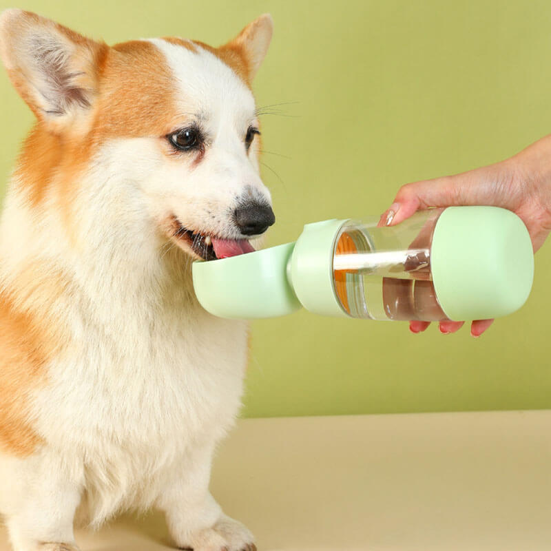 Portable Dog Water Bottle - drinking trough