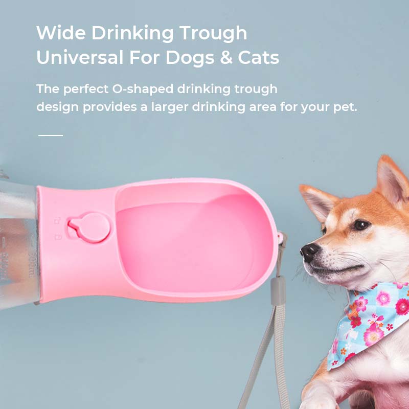 3-in-1 Dog Walking Water Bottle - with dog