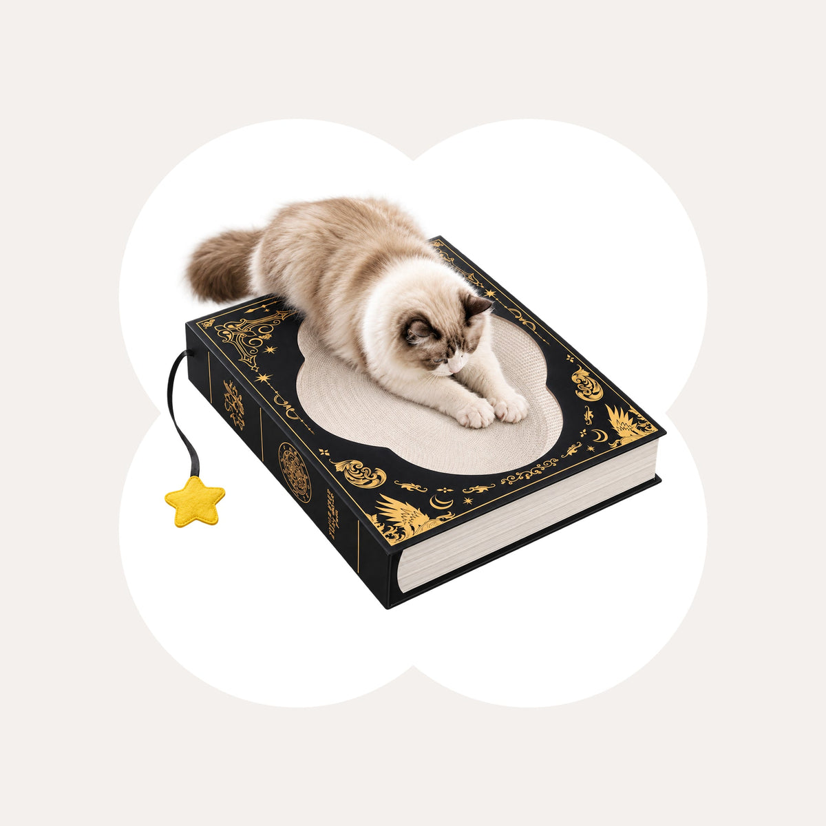 Midnight Grimoire Cat Scratcher — Gothic Book Design