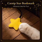 Midnight Grimoire Cat Scratcher — Gothic Book Design