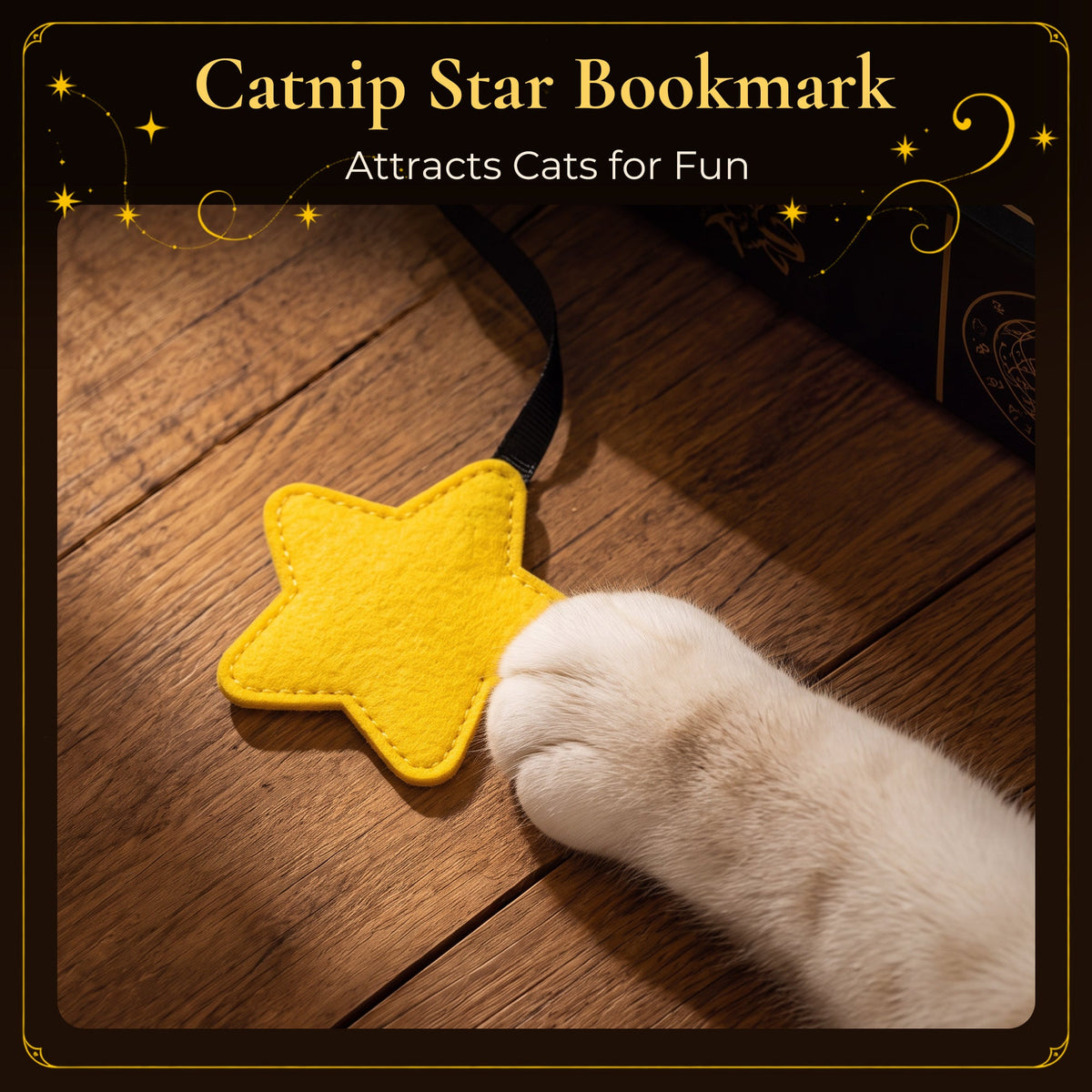 Midnight Grimoire Cat Scratcher — Gothic Book Design
