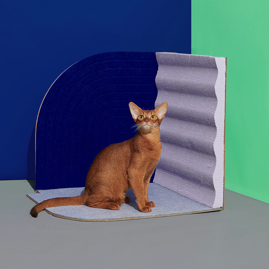 3D Design Cat Scratcher Velvet Blue - Main View