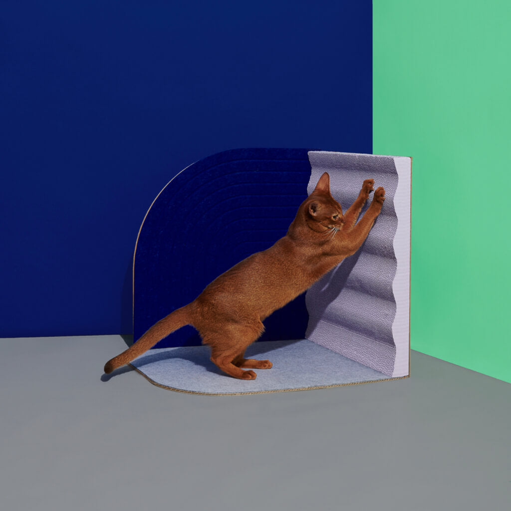 3D Cat Scratcher - Cat Using