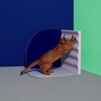 3D Cat Scratcher - Cat Using