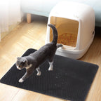 Double-Layer Cat Litter Trapping Mat