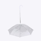 Dog Umbrella Leash Attachment rainy walk