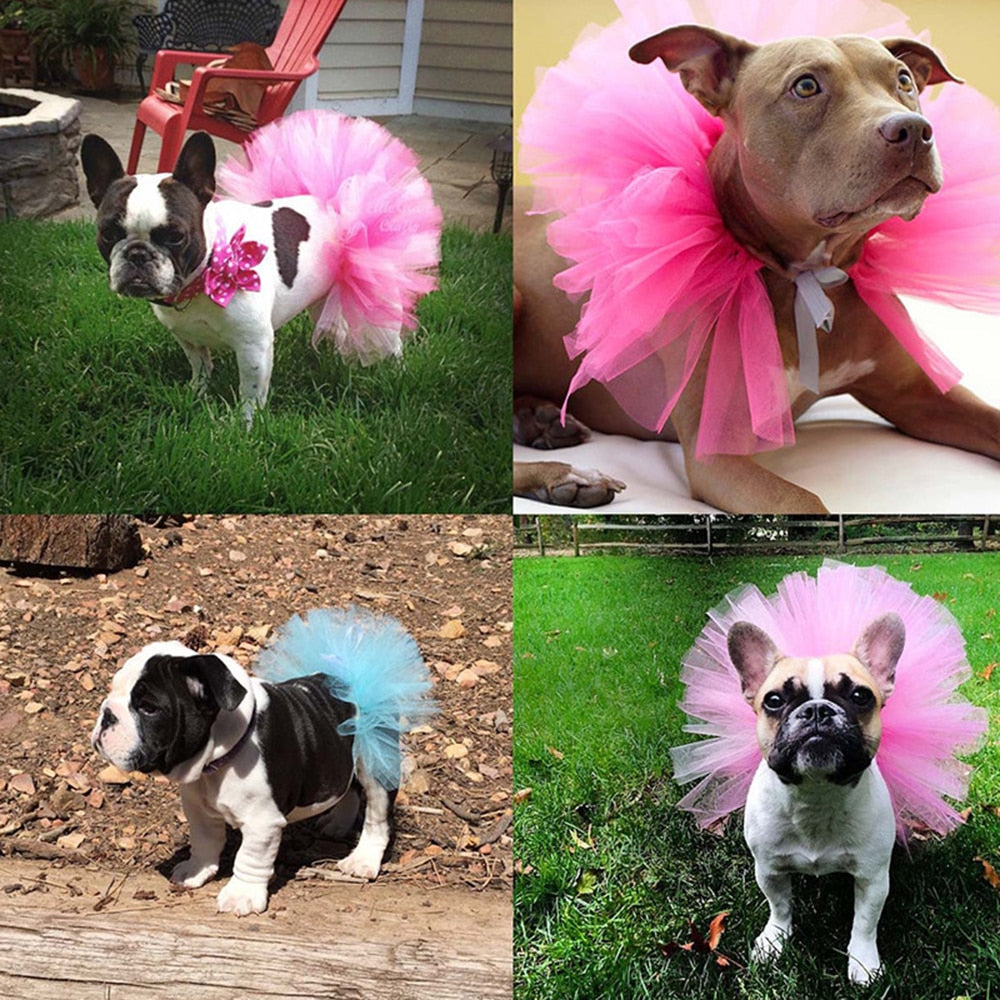 Tutu Party Dress for Dogs front view