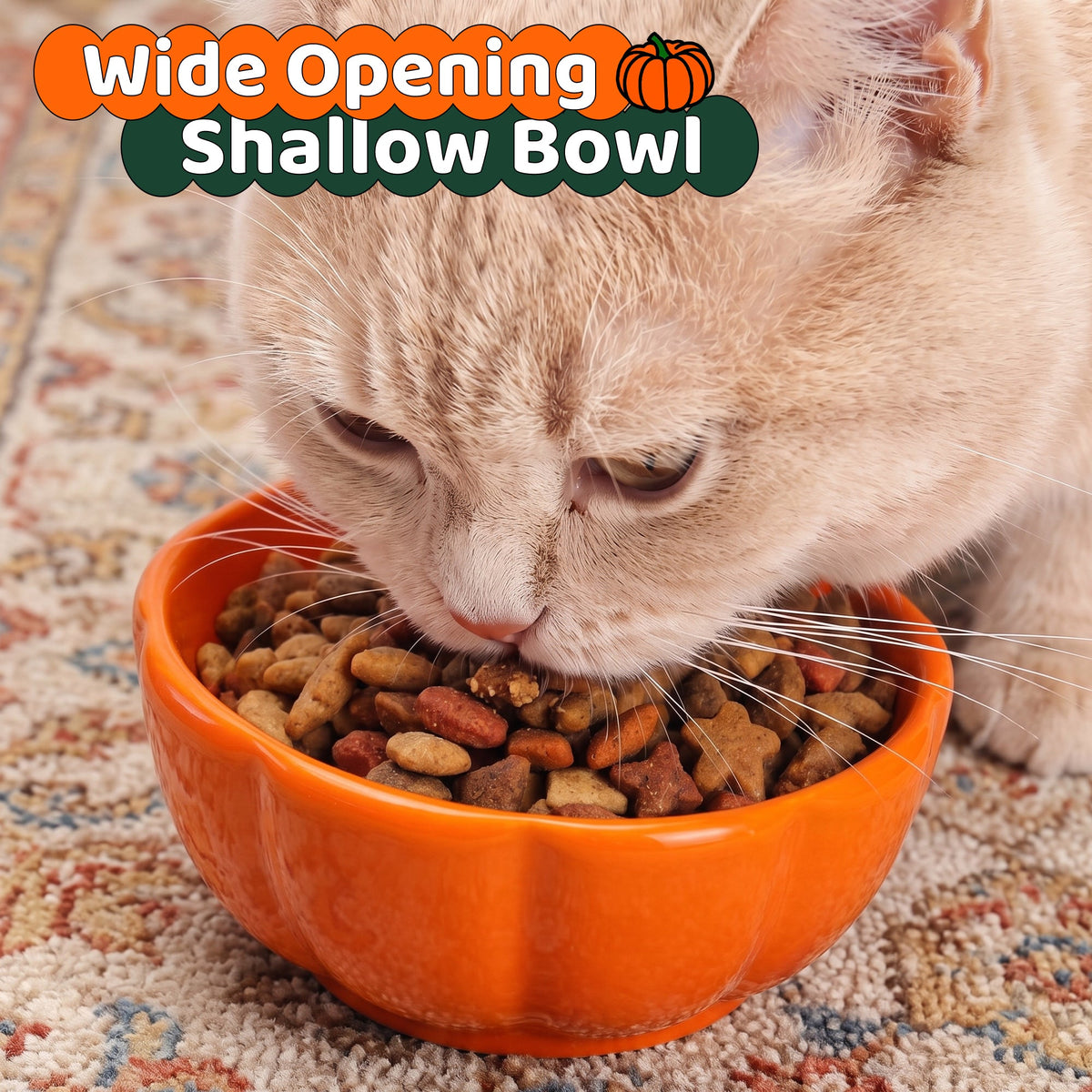 Pumpkin Cat Bowl - Wide Shallow Design