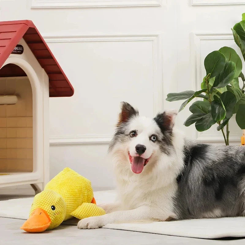Squeaky Duck Dog Toy Sound