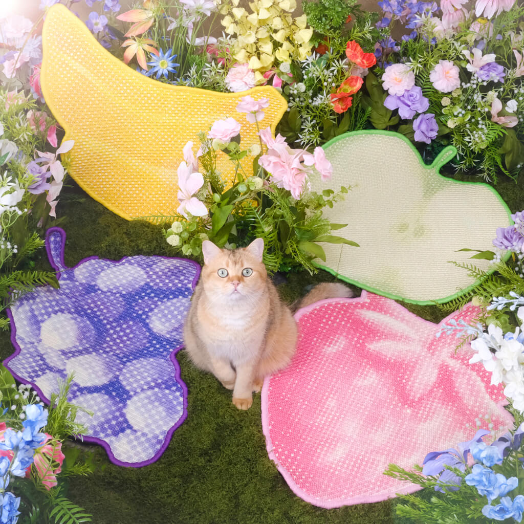 Fruit garden cat scratching mat collection