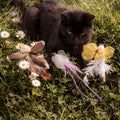Natural Feather Cat Teaser Toy - Main View