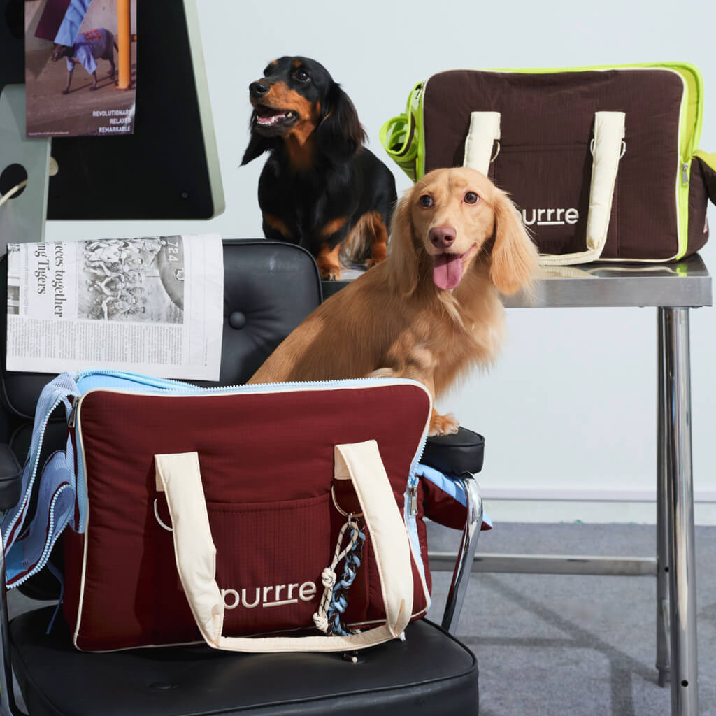 Convertible Pet Carrier Tote — Travel Bag and Car Seat
