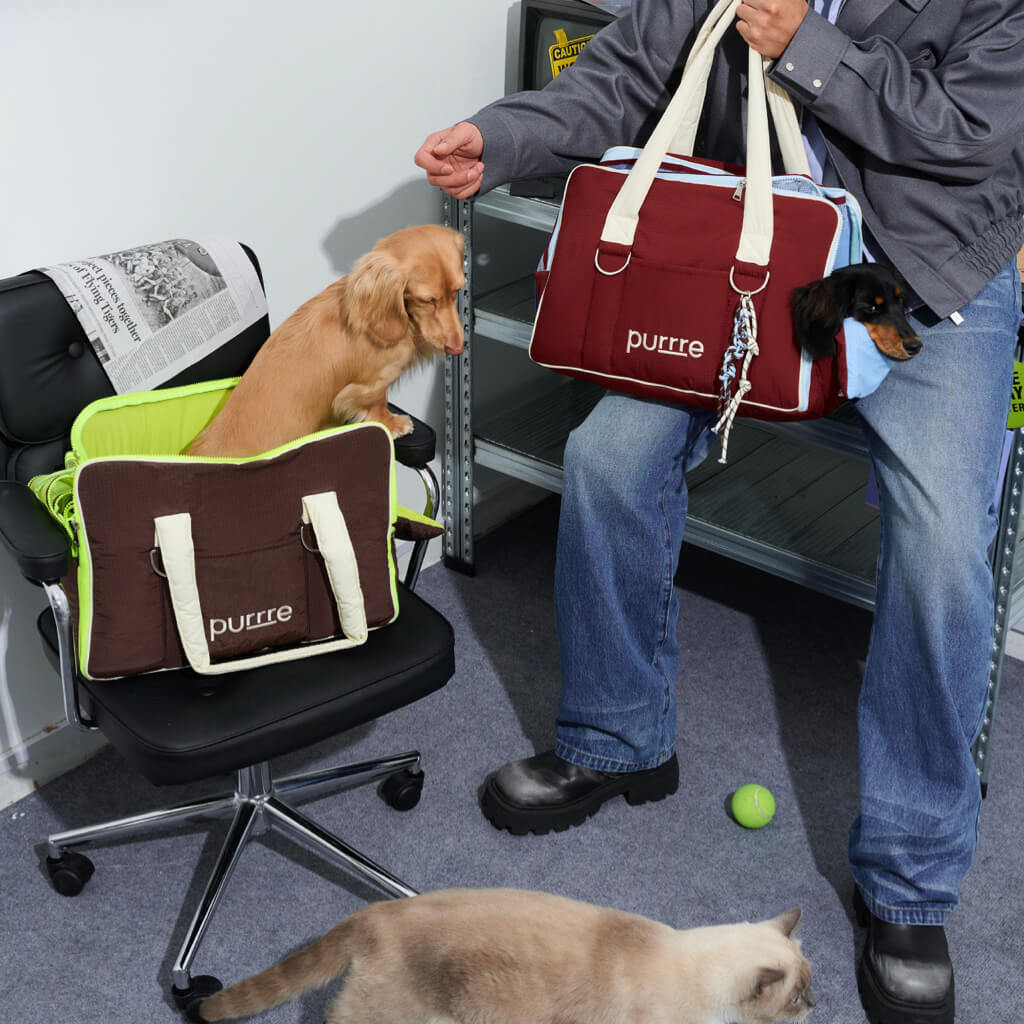 Convertible Pet Carrier Tote — Travel Bag and Car Seat