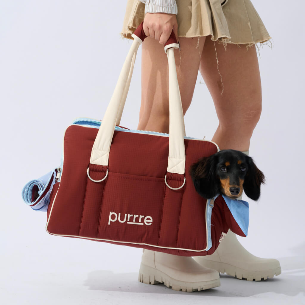 Convertible Pet Carrier Tote — Travel Bag and Car Seat
